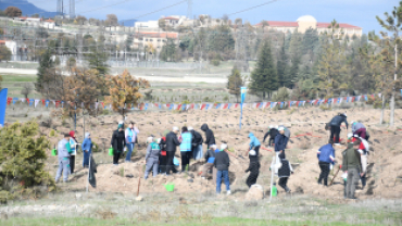 Milli Ağaçlandırma Günü’nde Emet’te 300 Fidan Toprakla Buluştu
